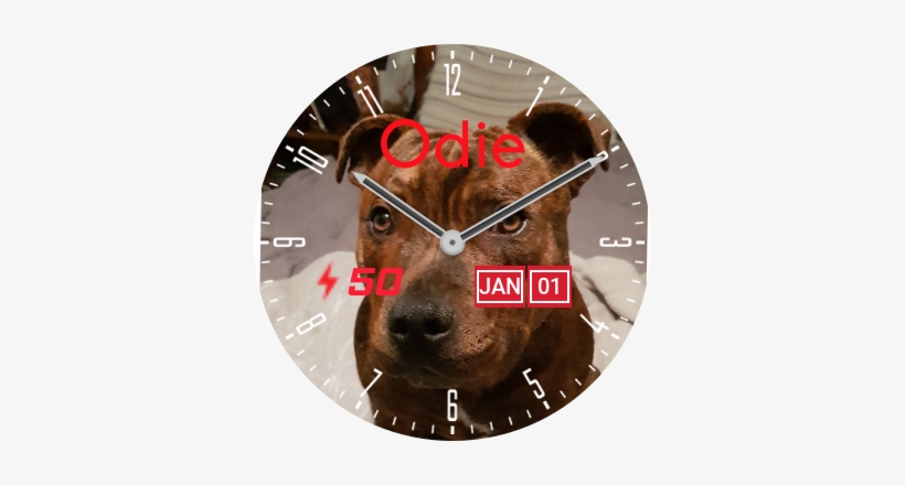 Odie Preview, transparent png download