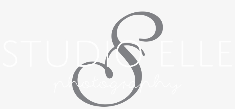 Professional Photography & Videography - Illustration, transparent png download