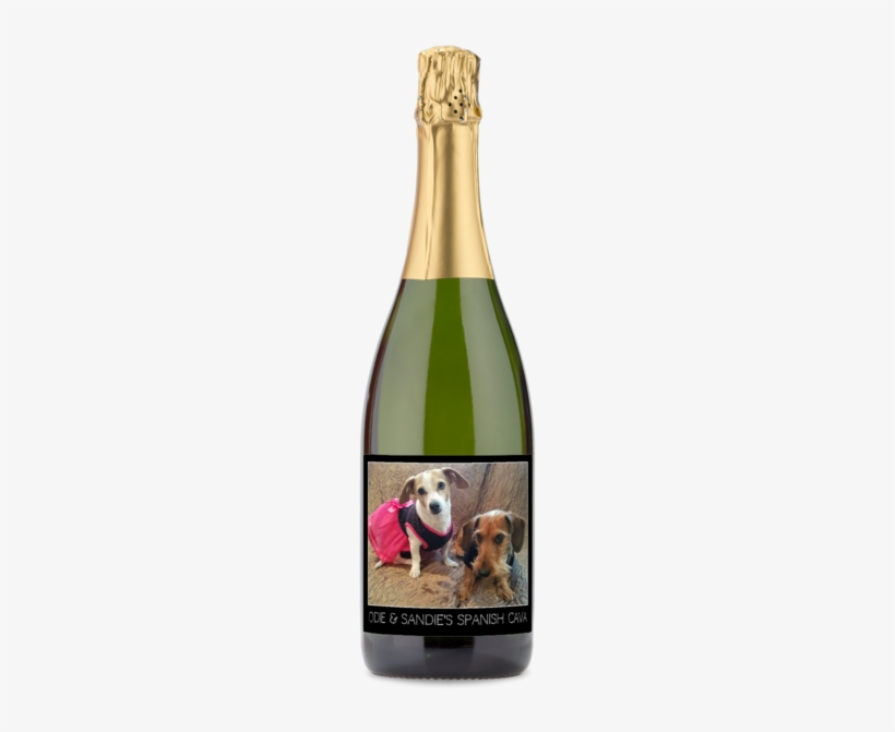 Odie & Sandie's Spanish Cava - Whippet, transparent png download
