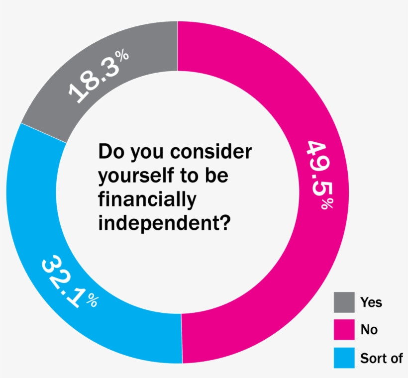 In A Recent Red & Black Survey, 100 Uga Students Shared - Finance, transparent png download