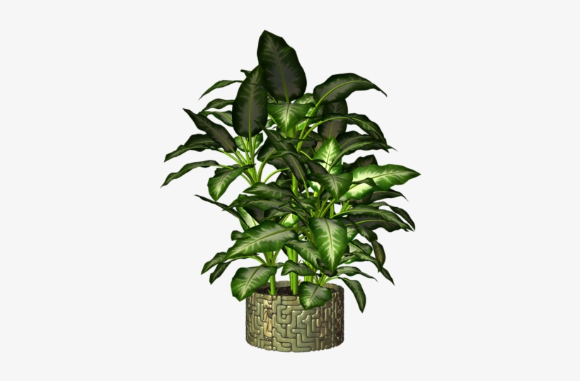 Я Умею Любить Я Умею Прощать, transparent png download