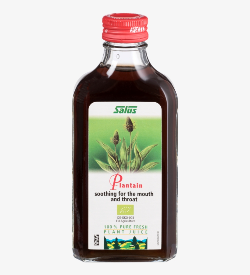 Salus Plantain Plant Juice 200ml (1 X 200ml), transparent png download