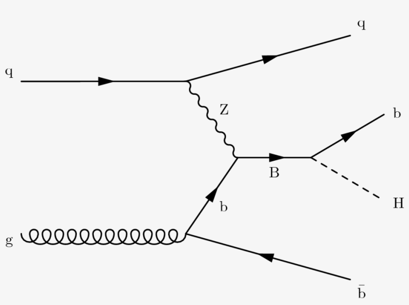 Show More Plots - Cern, transparent png download