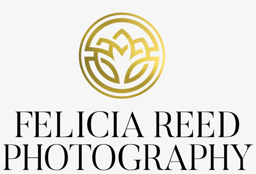 Felicia Reed Photography Contemporary Beauty Portrait - Rush Hour Game, transparent png download