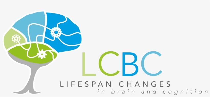 Neuroplasticity, transparent png download