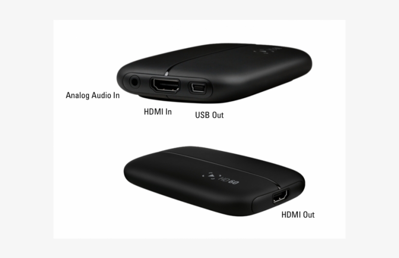 Elgato, transparent png download