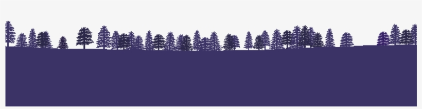 A Pen By - Shortleaf Black Spruce, transparent png download