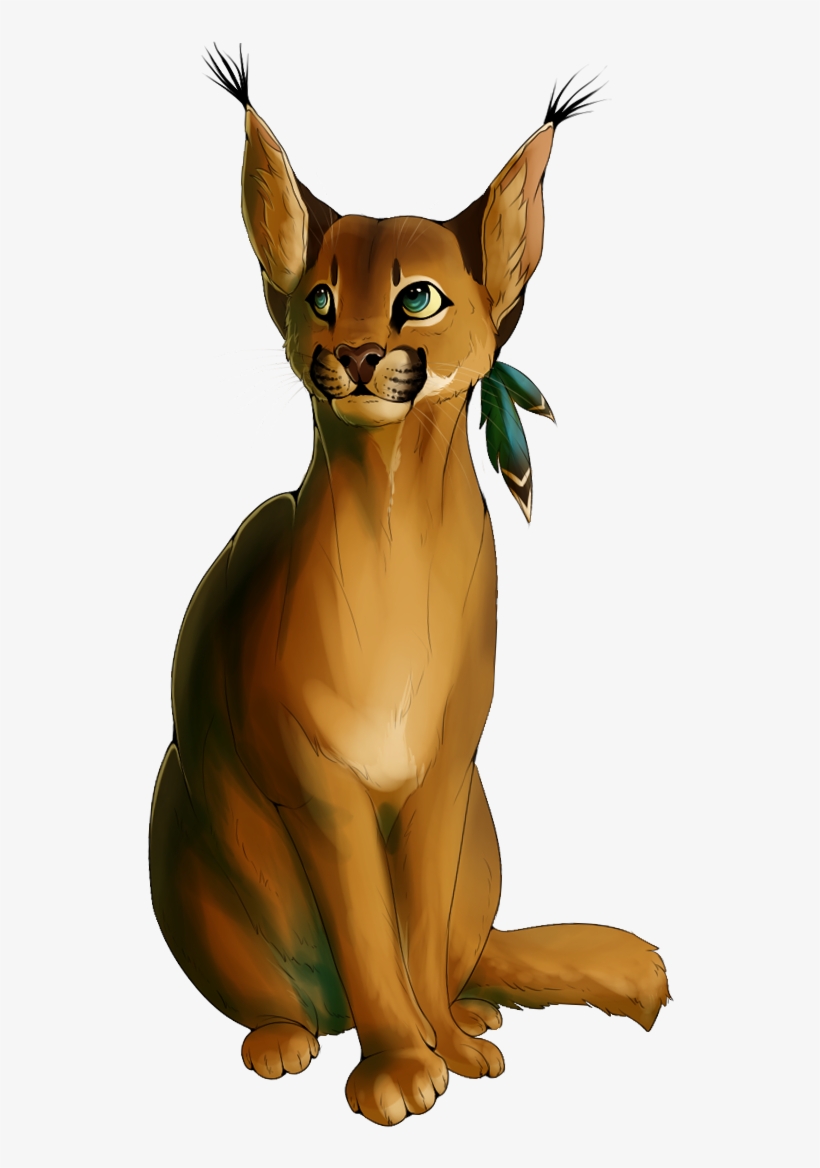 Caracal - Abyssinian, transparent png download