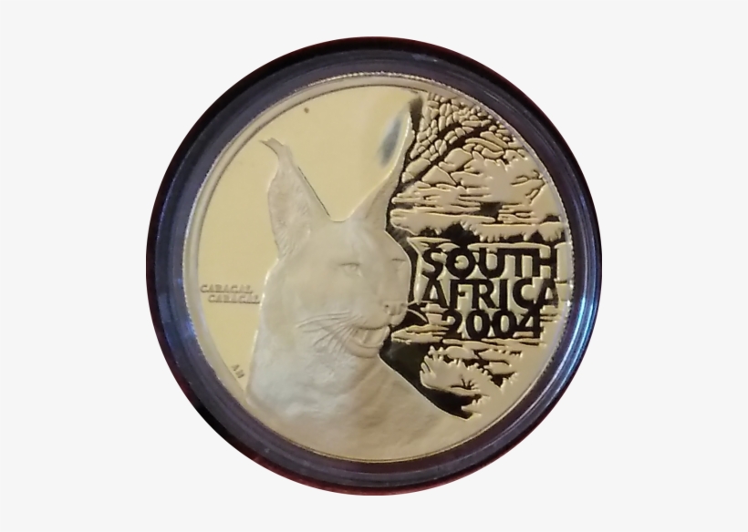 2004 - Quarter, transparent png download