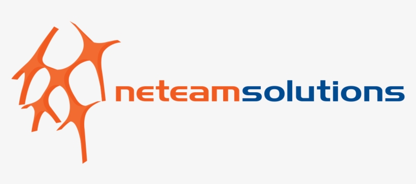Neteam Solutions Logo - Motiondsp, transparent png download