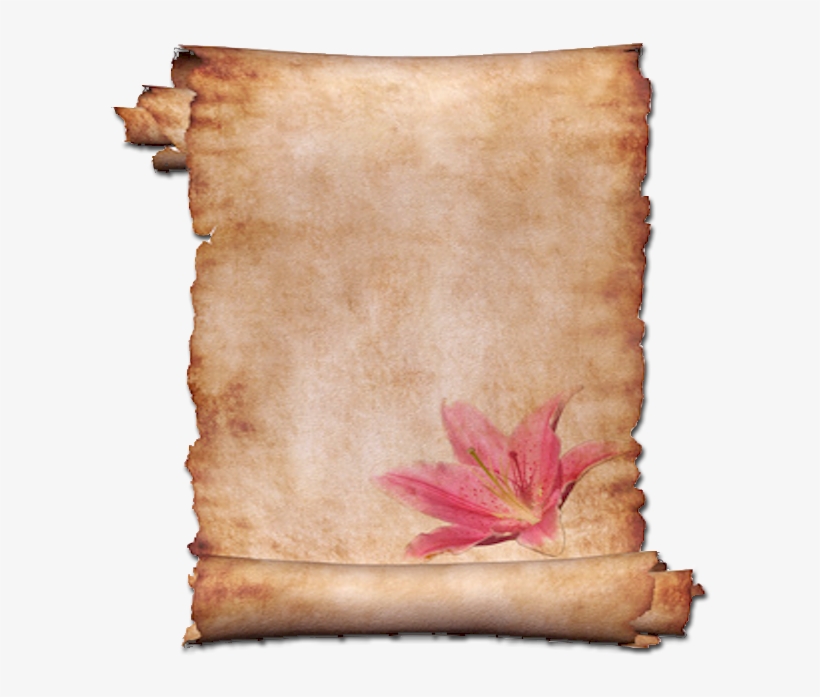 Participa En Nuestro Estudio - Letter Paper, transparent png download