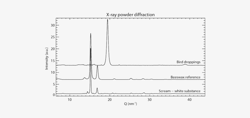 X-ray - The Scream, transparent png download