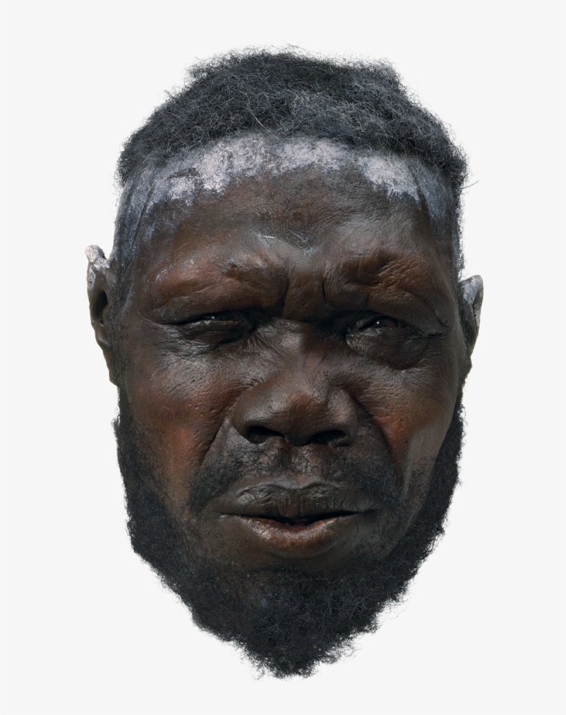 H Sapiens Male F3 29189 H66jq4 - Stone Age Modern Humans, transparent png download