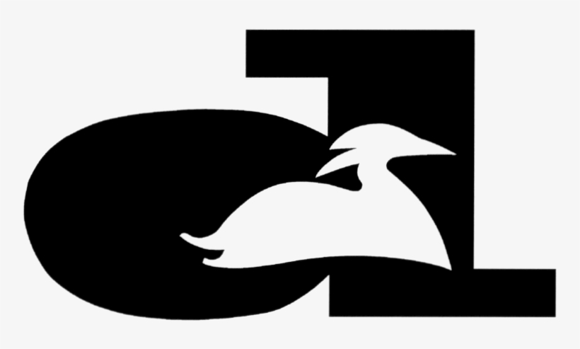 Duck, transparent png download