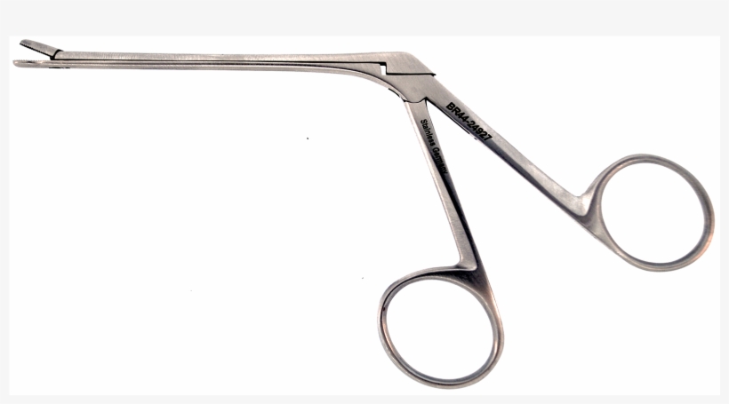 Hartmann Duckbill Ear Forcep, 3 1/4" Length German - Scissors, transparent png download