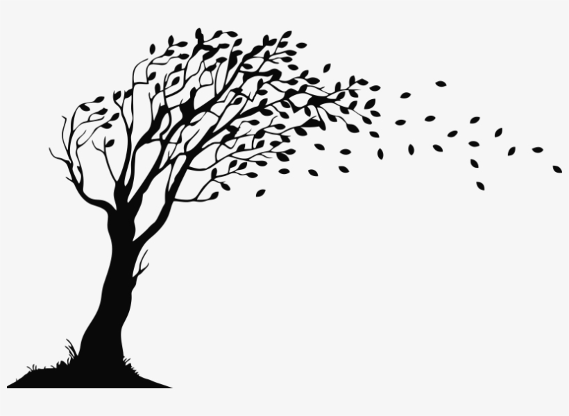 Duckbill Books And Publications Pvt Ltd - Fall Tree Silhouette Clipart, transparent png download