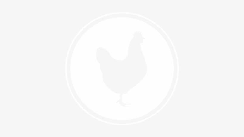 Gallinas Endy - Rooster, transparent png download