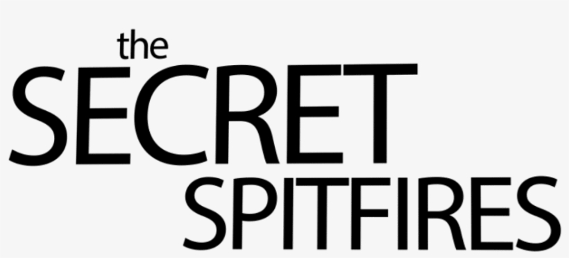 The Story Of Hundreds Of Women, Girls And A Handful - Eb-lm-8010-mt Kemp, transparent png download