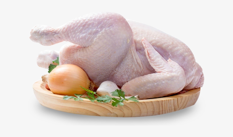 Gallina - Algo Crudo, transparent png download
