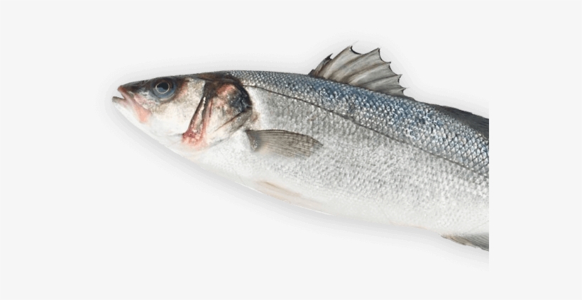 Discover Award-winning Fish & Chips In Nottingham - Pacific Saury, transparent png download