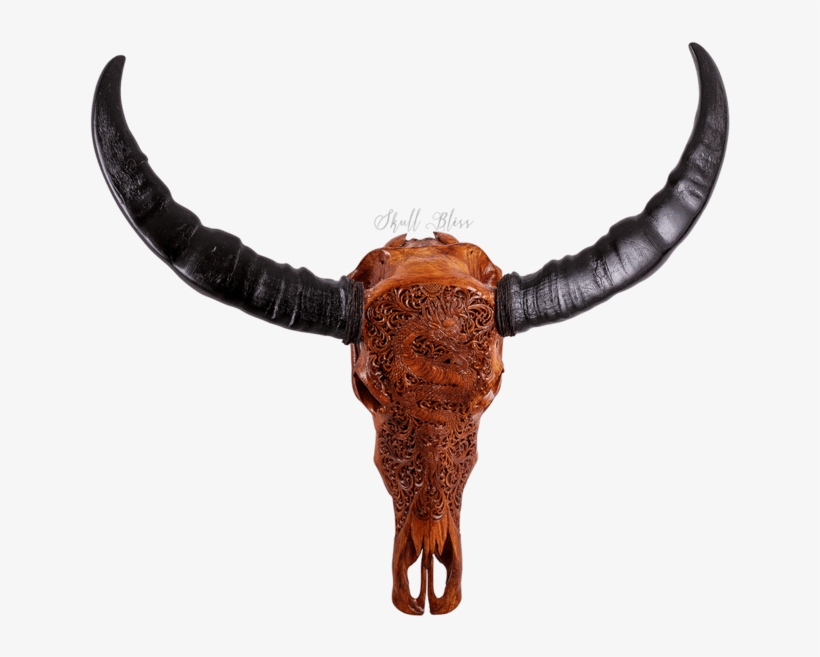 Carved Buffalo Skull - Buffalo Horn Png, transparent png download