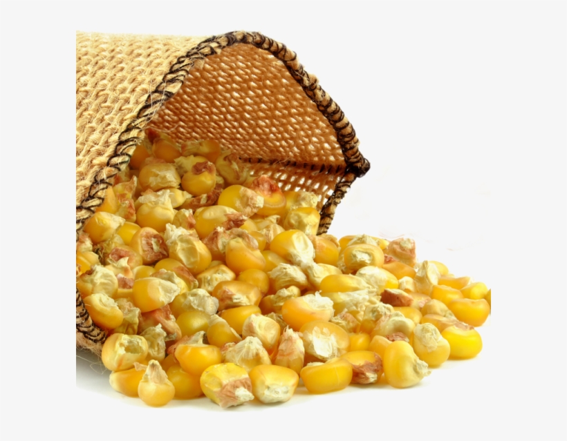 Corn Grits - Corn Oil, transparent png download