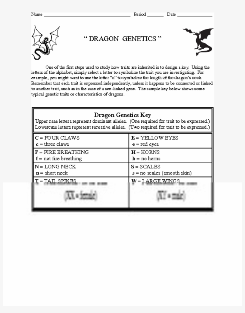 Dragon Genetics One Of The First Steps Used To Study - Document, transparent png download