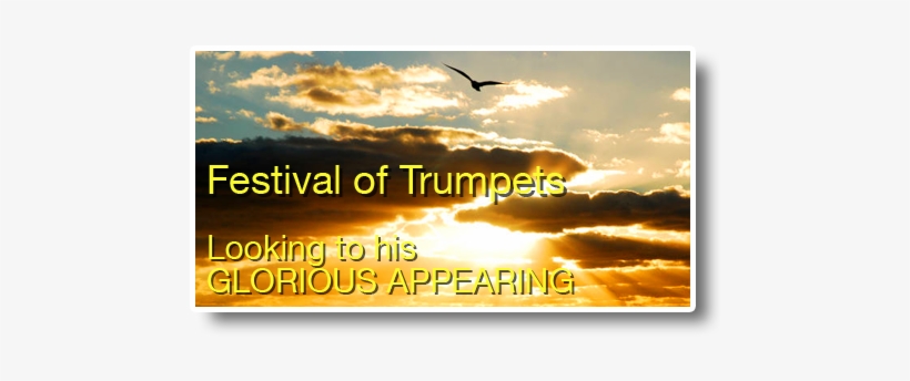 Festival-trumpets - Stock Photography, transparent png download