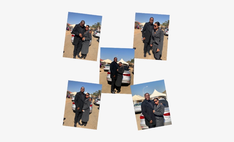 Collage, transparent png download