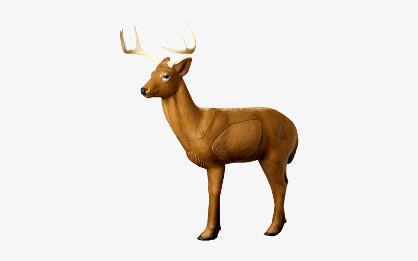 3d Targets - Rinehart Woodland Buck Archery Target, transparent png download