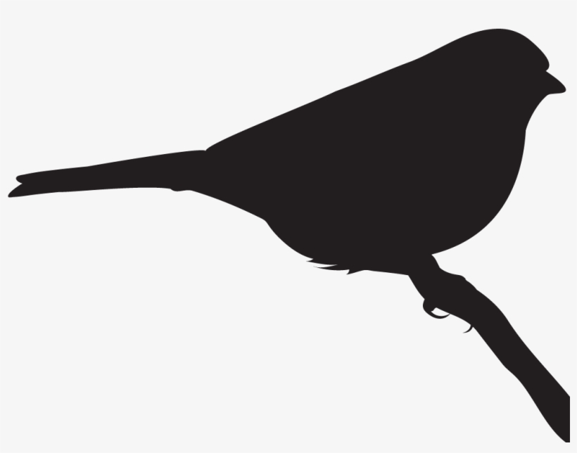 Field Sparrow - Clay Birds In Flight, transparent png download