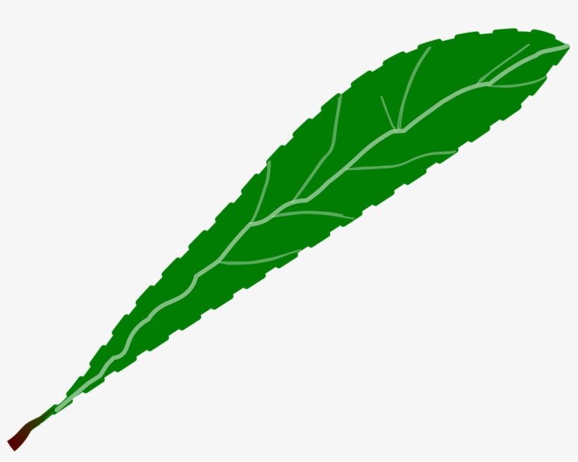 Branch Foliage Green - Leaf Petal, transparent png download