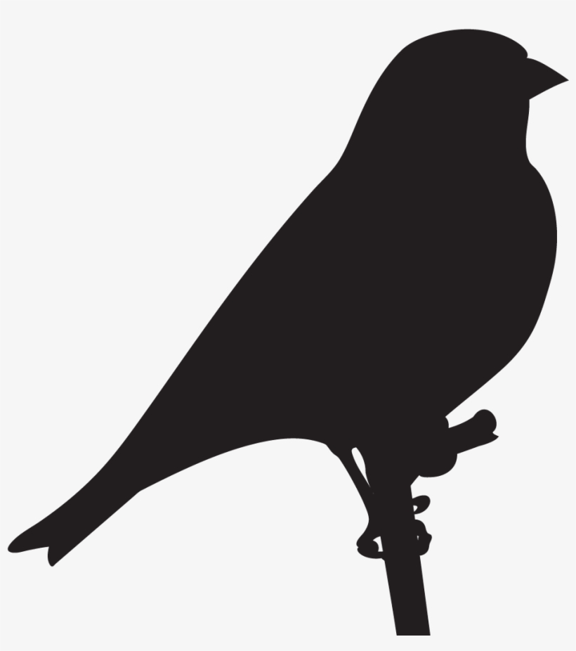 House Finch - Finches, transparent png download