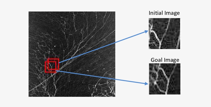 Simulation Images For The Non-vector Space Control - Diagram, transparent png download