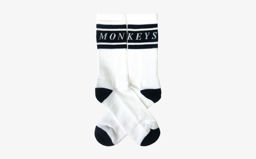 Accessories - Arctic Monkeys Socks Merch, transparent png download