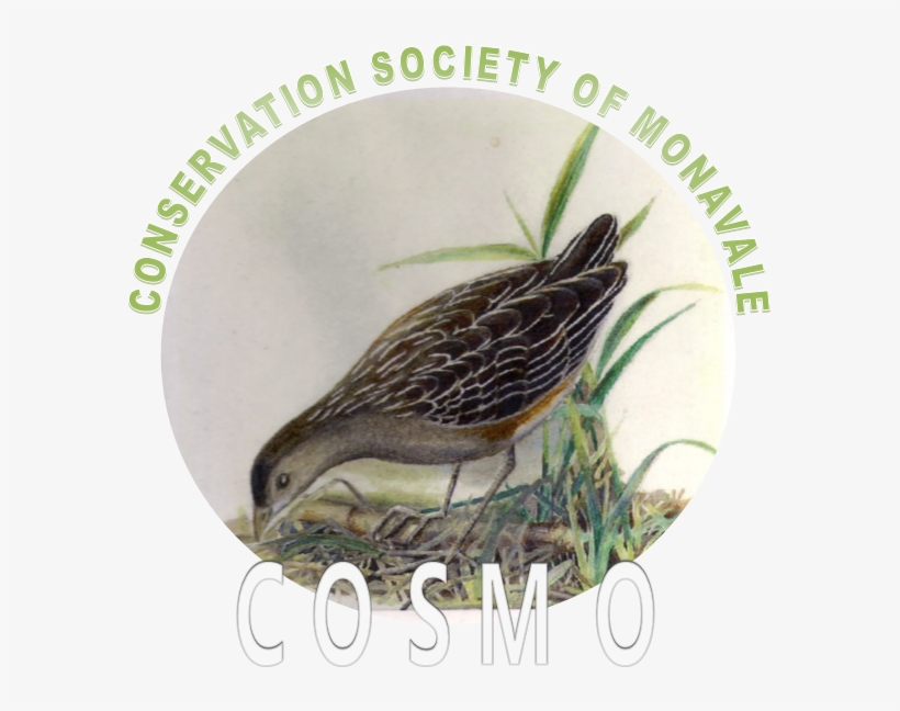 Cosmo Kids Club, transparent png download