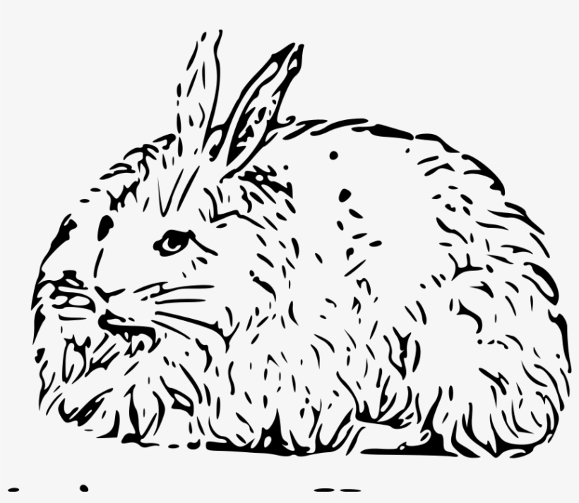 Rabbit - Angora Rabbit In Cartoon, transparent png download
