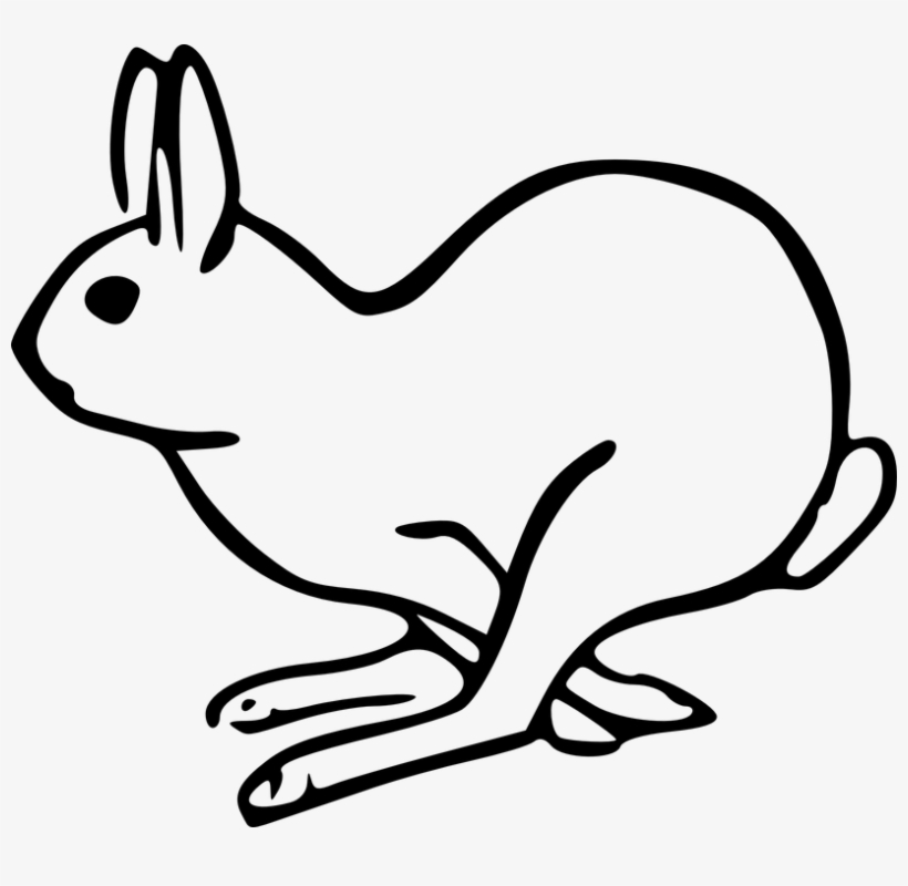 Drawn Bunny Mammal - Hare Clip Art, transparent png download