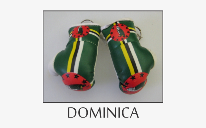 Buy Boxing Gloves Online - Insect, transparent png download