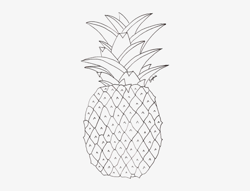 Trans Par En T - Pineapple Pictures To Colour, transparent png download