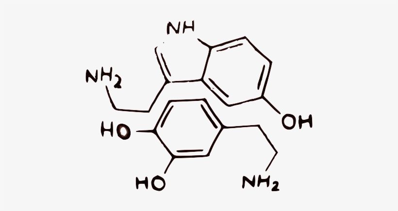 Diagram, transparent png download