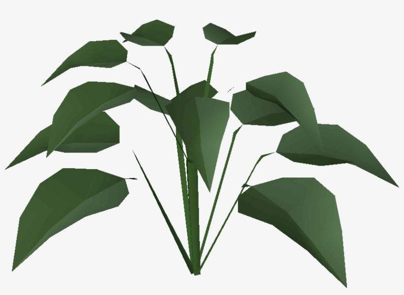 Huge Plant Built - Wiki, transparent png download