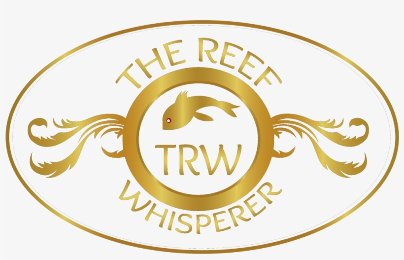 Services - Label, transparent png download