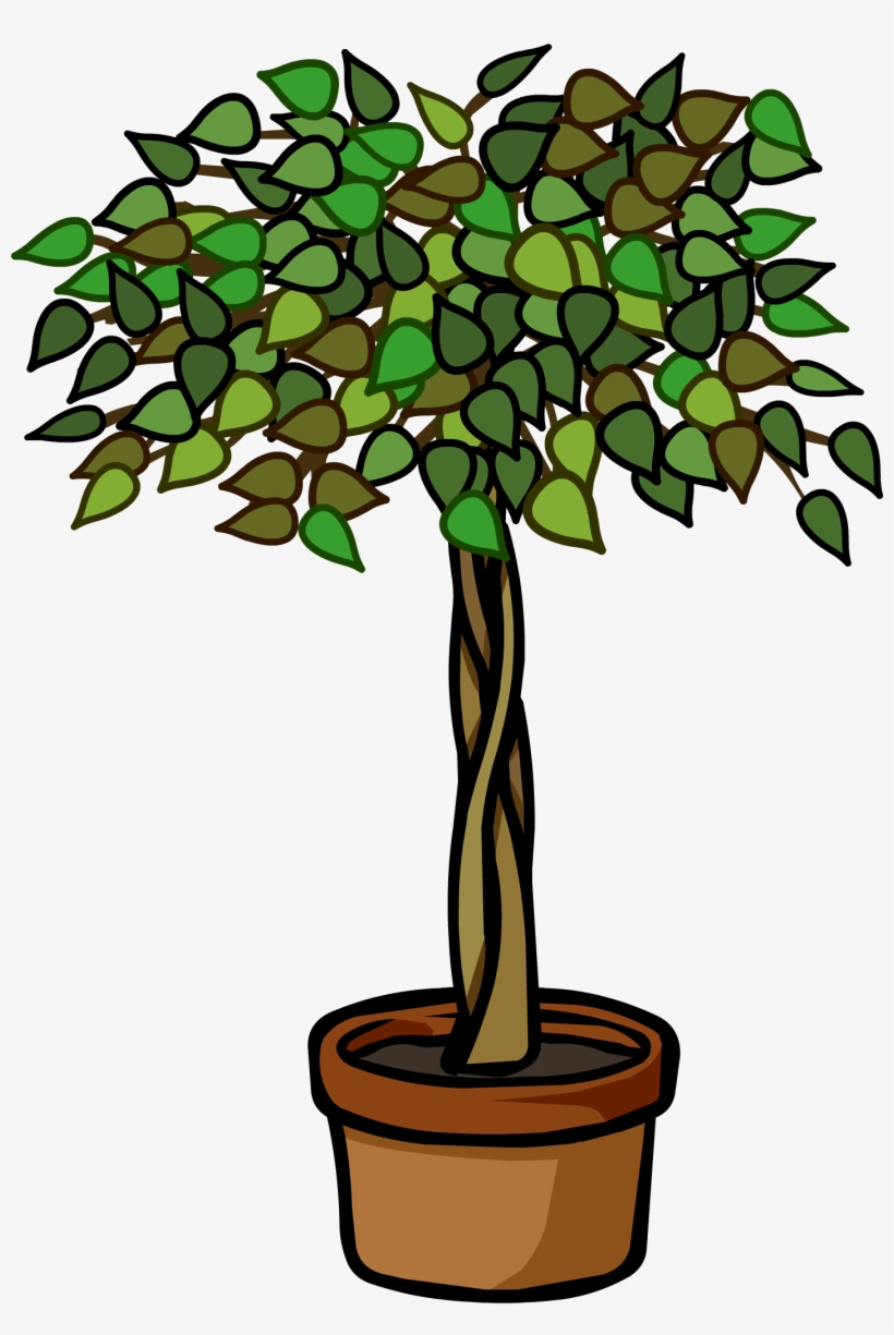Ficus Plant - Png - Club Penguin Ficus, transparent png download