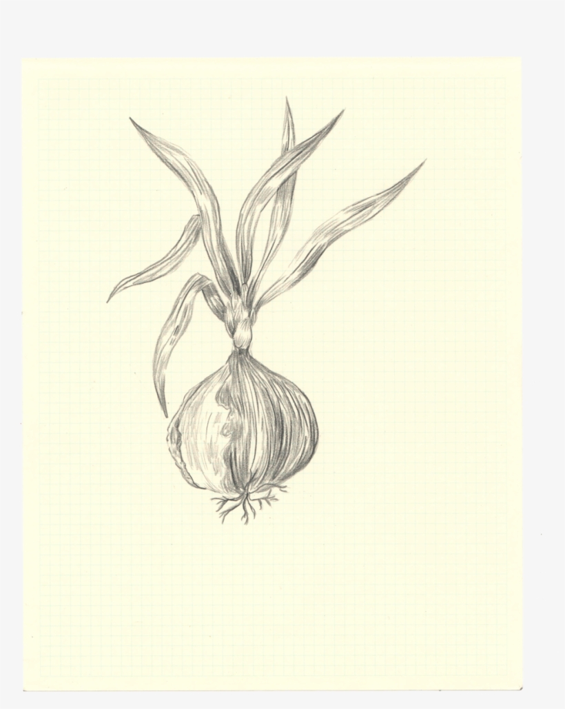 Bonfireapetit Onionscan - Portable Network Graphics, transparent png download