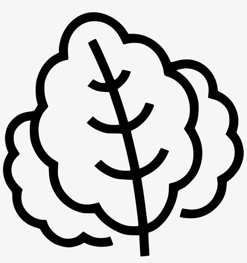 Png File - Icon, transparent png download