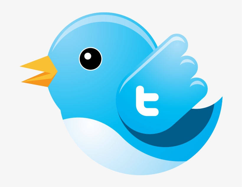 What Do You Mean You Don't Like The Drop Shadow - Pdf Of Twitter Logo, transparent png download