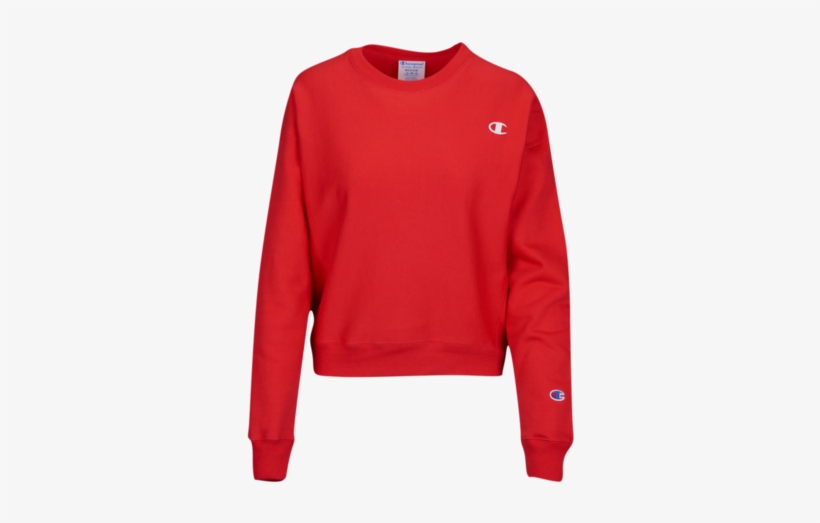 champion sweater neon vector