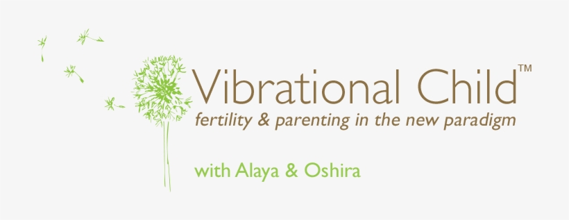Conscious Conception, Pregnancy, Birth And Beyond - Fertilisation, transparent png download
