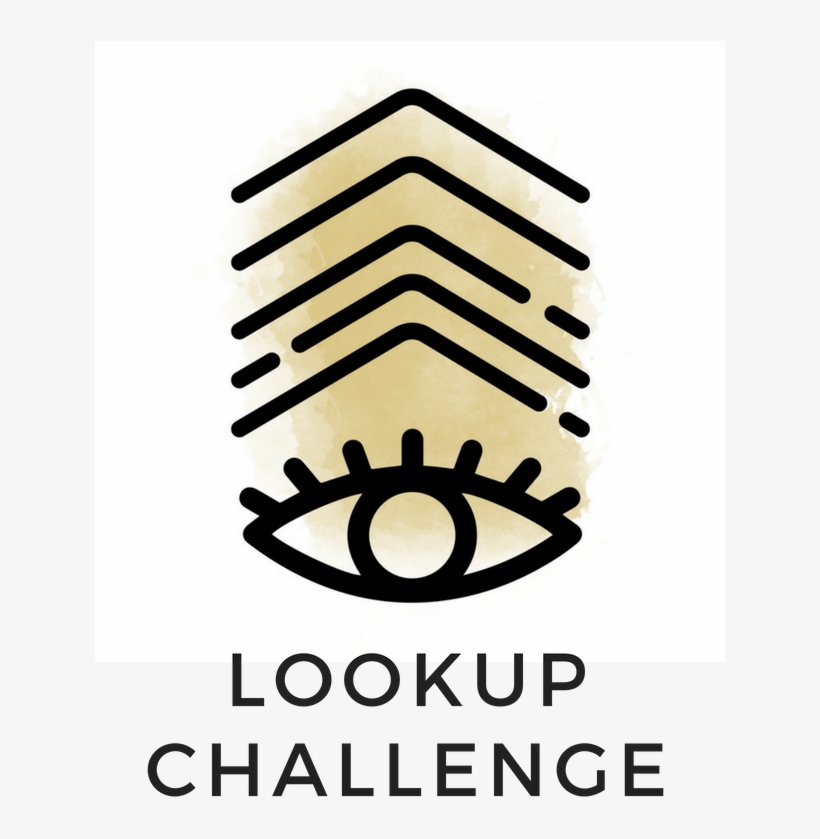 Lookupchalenge - Face, transparent png download
